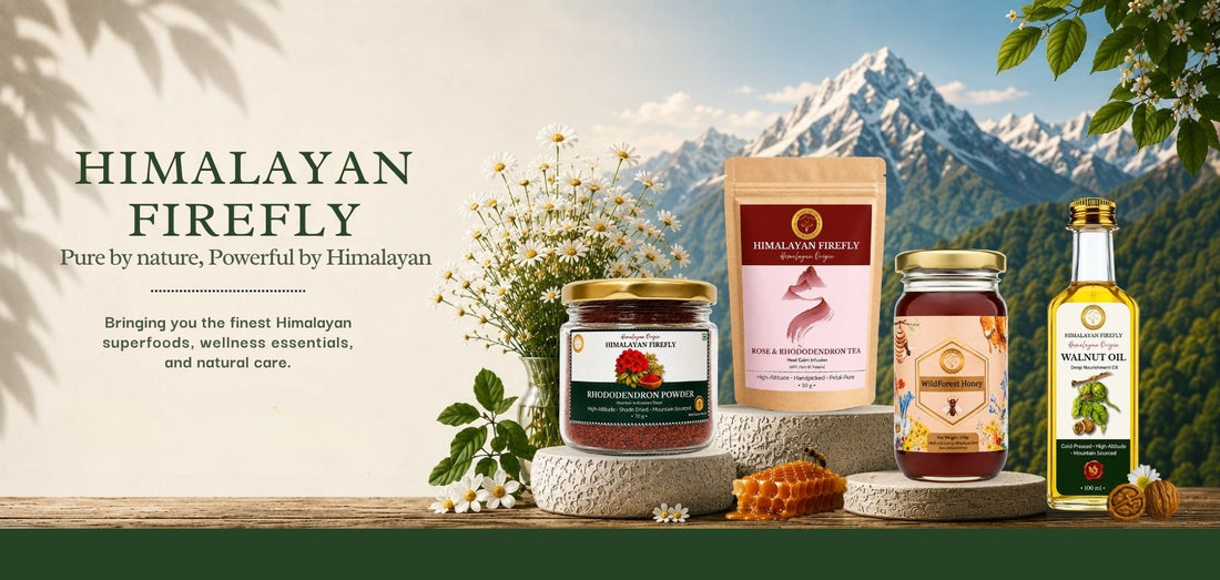 Ayurvedic Immunity Approach: 7 Ways Ayurveda Builds Strong Immunity