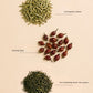 Lemongrass & Rosehip Tea