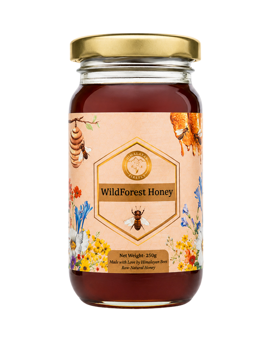 Wild Forest Honey